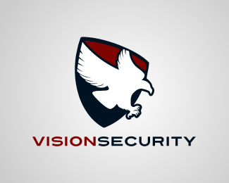 vision security