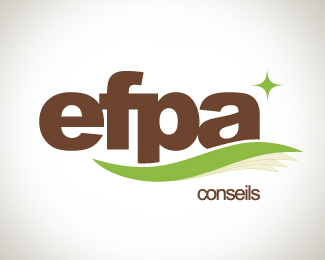 EFPA Conseils