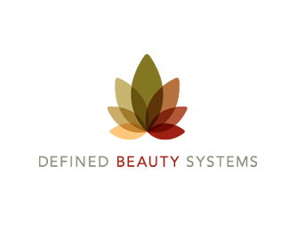 Defined Beauty Systems