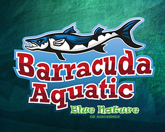 Barracuda Aquatic
