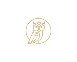 Celtic Owl Logo