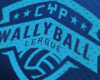 Wallyball league logo