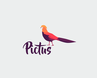 Pictus