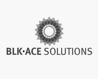 Blk Ace Solutions