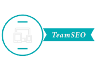 TeamSEO - SEO Company in Ahmedabad, Web Design Dev