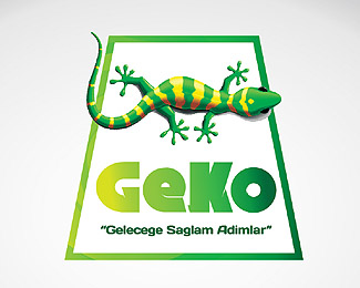 Geko 02