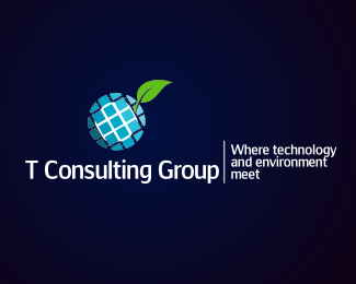 T Consulting Group