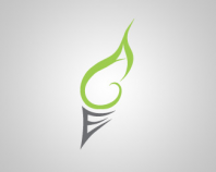 Advanced Organic Energy