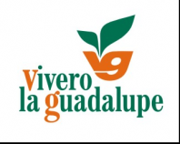 la gaudalupe nursery