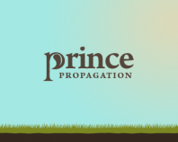Prince Propagation