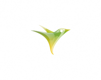 colibry