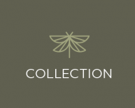 Butterflies_logotype_collection