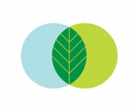 Print Leaf