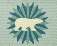 Arctic Bear