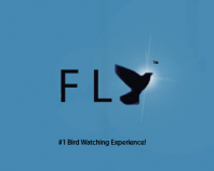 Fly