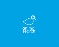 Animal Search