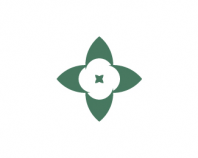 Cotton Seed Distributors