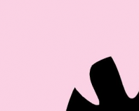 zebra-dj (second version)