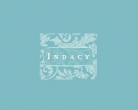 Indacy concept 3