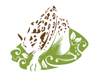 La selva del jaguar maya