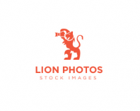 Lion Photos