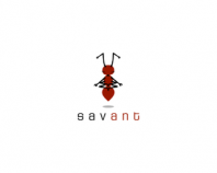 savant
