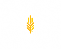 Attebury Grain