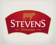 Stevens Limousins