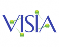 Visia Ambigram