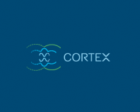 Cortex