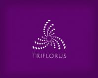Triflorus