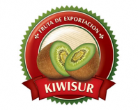 Kiwisur