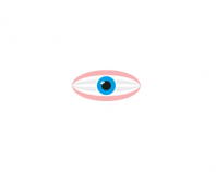 ophtalmologist