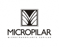 Micropilar