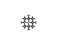 Sapient Group