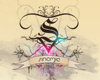 Sinergie Interactive Presentation [arts]