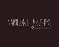 Napoleon_et_Josephine