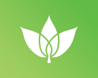 Heider Icon