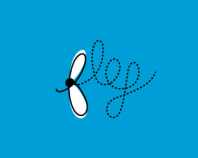 fly.