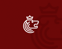 Lion Head Logo Design