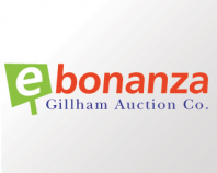 eBonanza