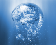 bubble_brain