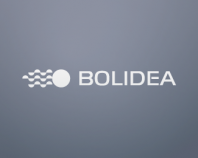 Bolidea