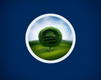 Obama Tree