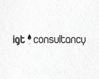 IGT Consultancy 2