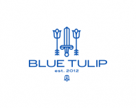 blue tulip