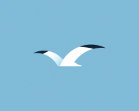 Seagull