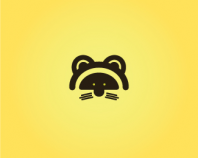 raccoon