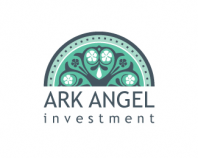 Ark Angel