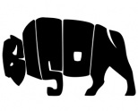 Bison,_Vancouver